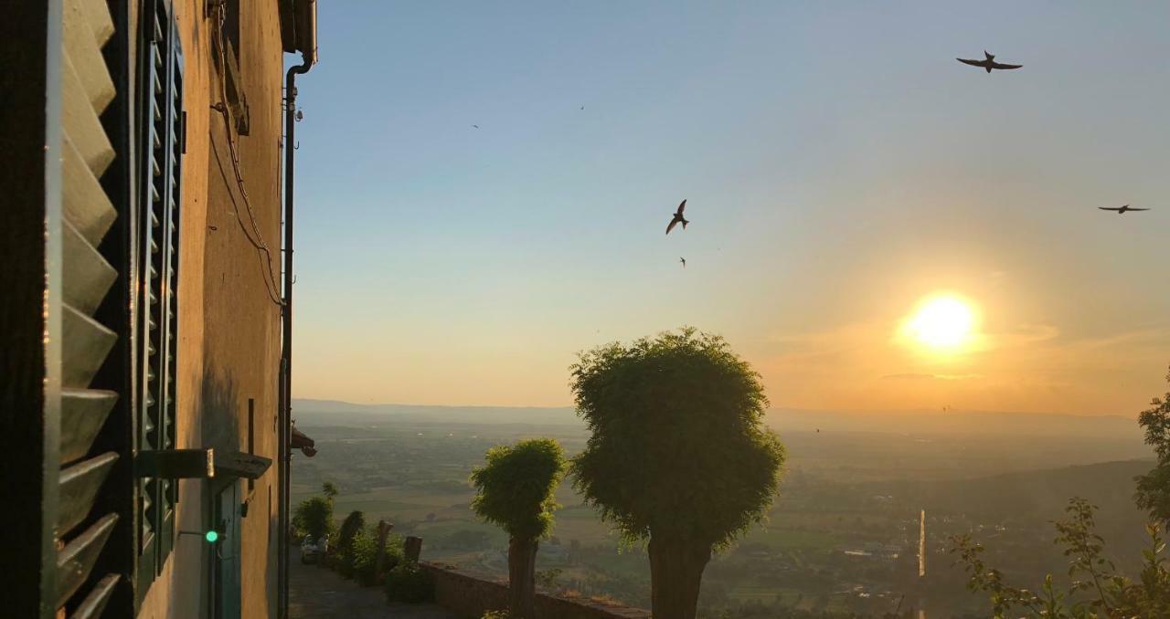 Pausa Te Per L'anima - Casa Cortona